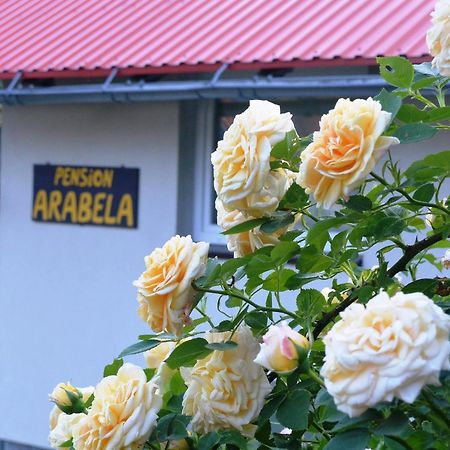 Pension Arabela Harrachov Zewnętrze zdjęcie