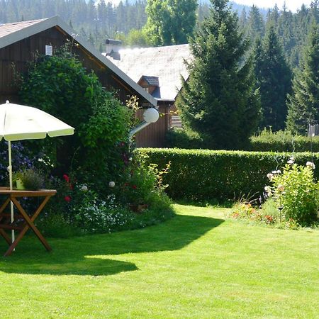 Pension Arabela Harrachov Zewnętrze zdjęcie