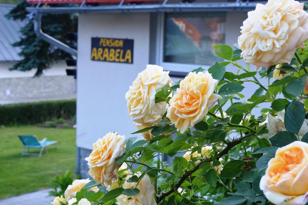 Pension Arabela Harrachov Zewnętrze zdjęcie